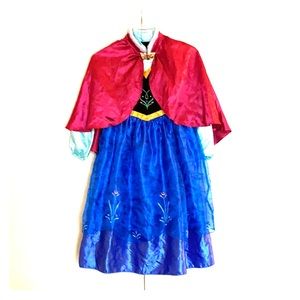Princess Anna Costume